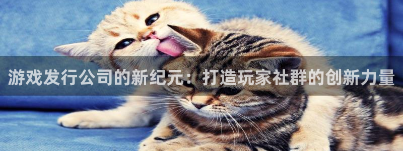 ag街机官网客服电话