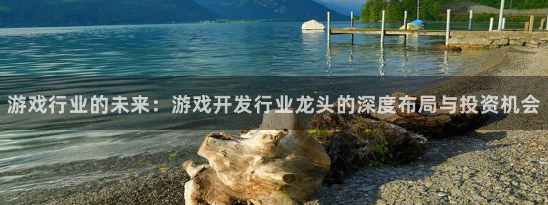 ag街机官网注册登录失败：游戏行业的未来：游戏开发行业龙头的深度布局与投资机会