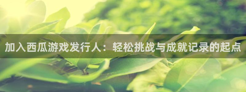 四川ag街机科技有限公司