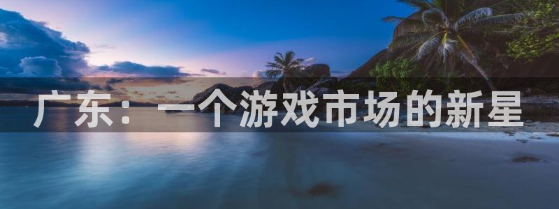 ag街机官网登录注册账号失败怎么办：广东：一个游戏市场的新星