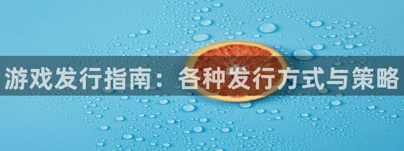 ag街机子财经图书：游戏发行指南：各种发行方式与策略