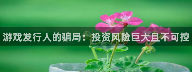 ag街机官网分分彩：游戏发行人的骗局：投资风险巨大且不可控