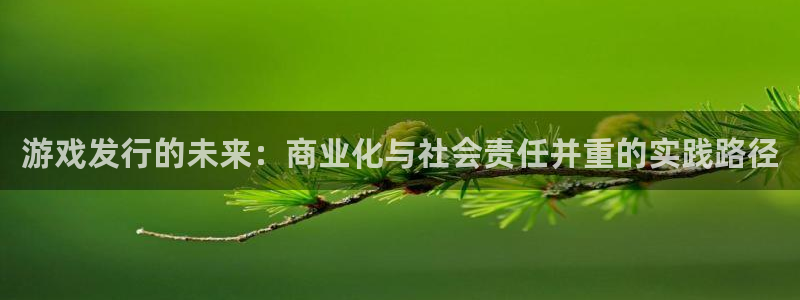 ag街机电子商务有限公司：游戏发行的未来：商业化与社会责任并重的实践路径