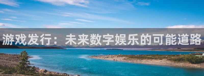 ag街机官网代理注册地址：游戏发行：未来数字娱乐的可能道路