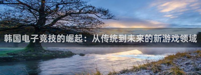 ag街机官网注册方法视频：韩国电子竞技的崛起：从传统到未来的新游戏领域