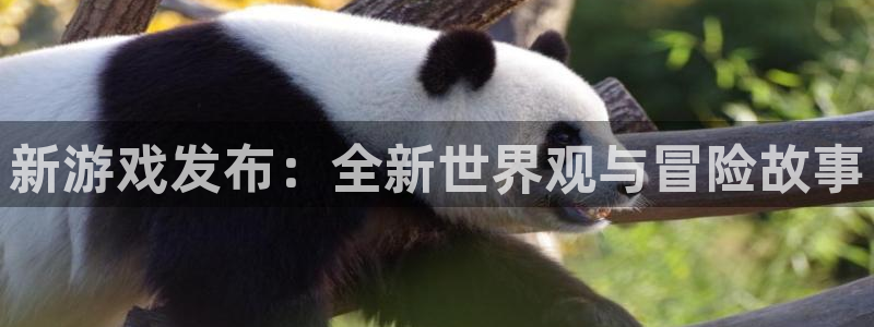 ag街机官网官网注册账号怎么注册：新游戏发布：全新世界观与冒险故事