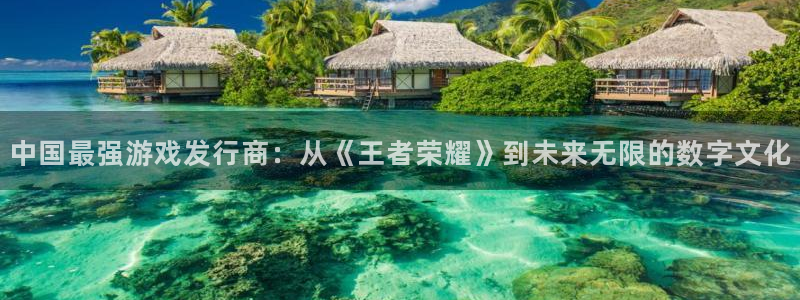 陕西ag街机子文化公司加我qq