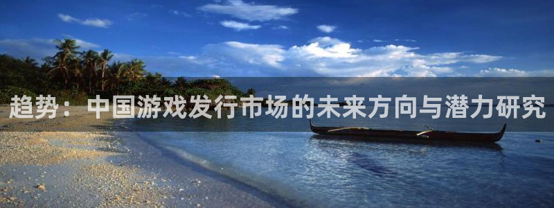 陕西ag街机子文化创意有限公司是做什么的：趋势：中国游戏发行市场的未来方向与潜力研究