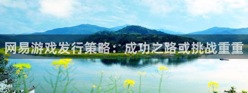 ag街机电子商务有限公司电话