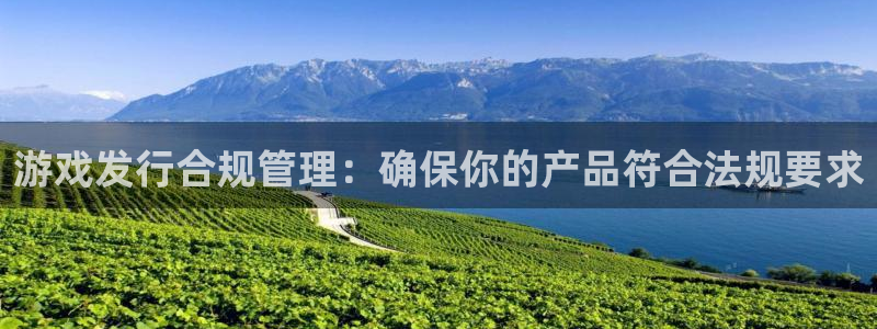 ag街机电子商务有限公司地址：游戏发行合规管理：确保你的产品符合法规要求