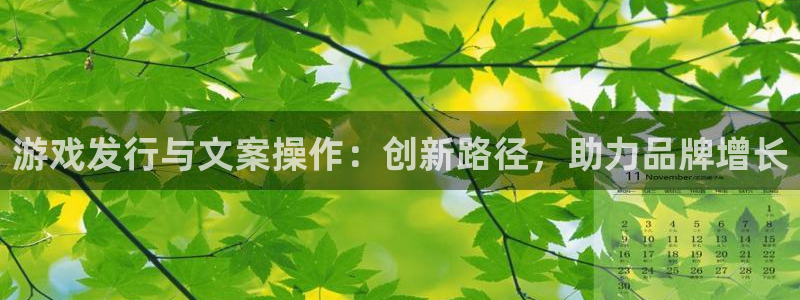 广东ag街机
