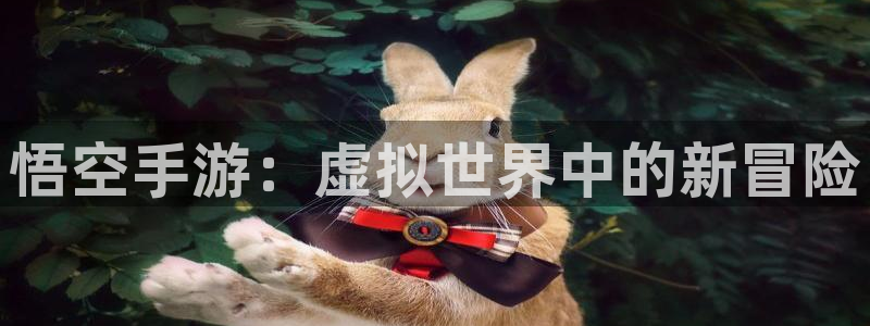 ag街机电子科技：悟空手游：虚拟世界中的新冒险