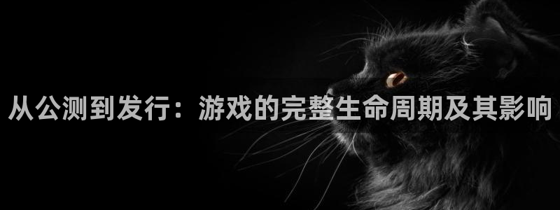 作者ag街机子：从公测到发行：游戏的完整生命周期及其影响